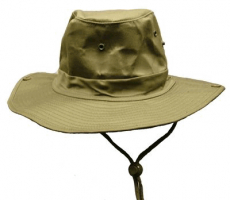 BUSH